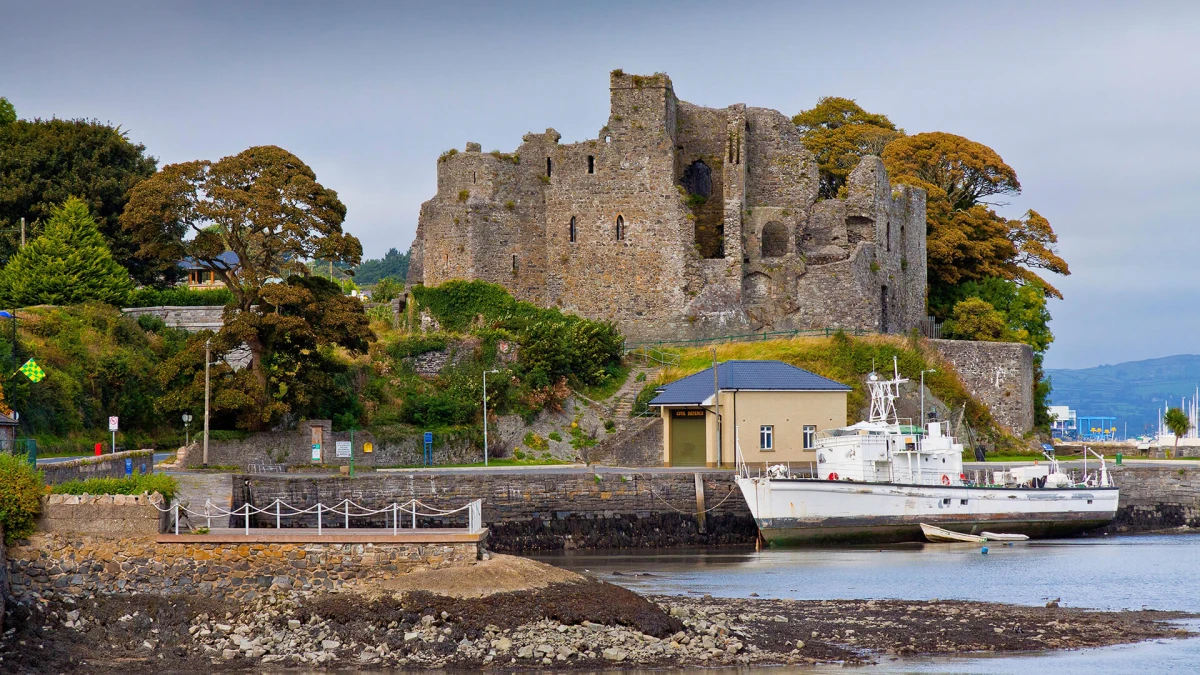 The Freedom of a Carlingford Getaway: Why Self-Catering is the Perfect Choice