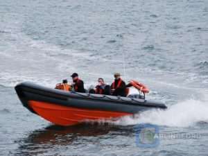 Boat-Trip-Carlingford-Lough-Boating-Trips-5