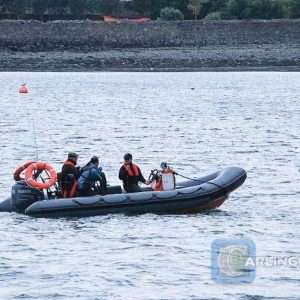 Boat-Trip-Carlingford-Lough-Boating-Trips-8